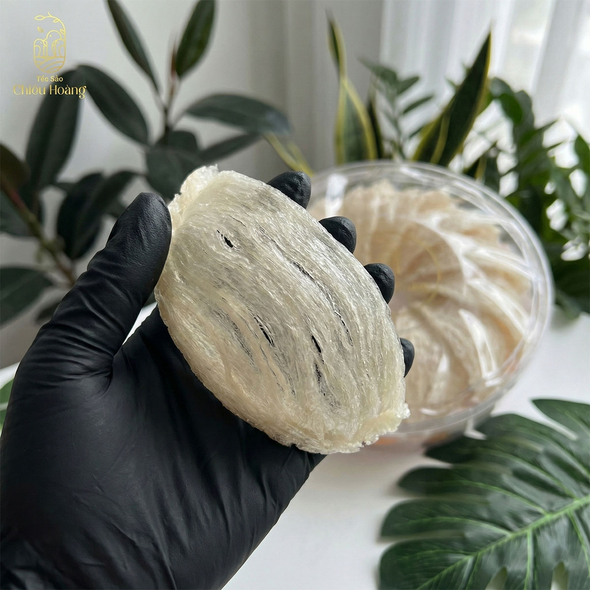 Yến tinh chế loại 1 cao cấp – 100g | Yến Sào Chiêu Hoàng - Ảnh 3